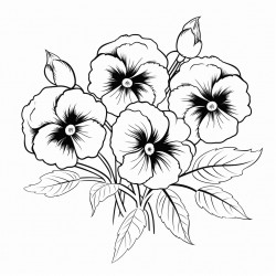 simple flower pansies drawing with bold and black lines