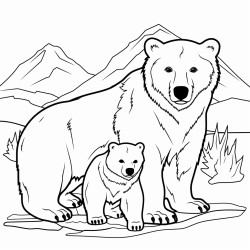 osos