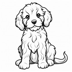 a female cockapoo puppy in the sitting position