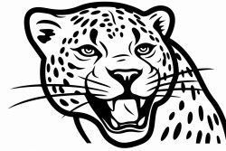 letter c for cheetah