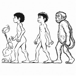 growing up child to adult evolution