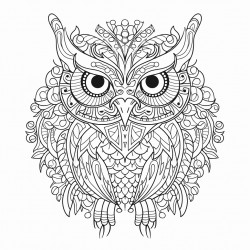 mandala owl with ornate pattern inside and outside nature theme