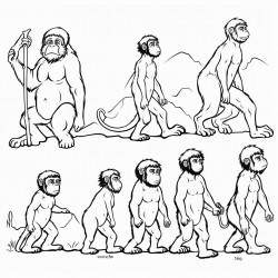 growing up child to adult evolution