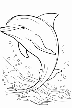 dolphin under the water
