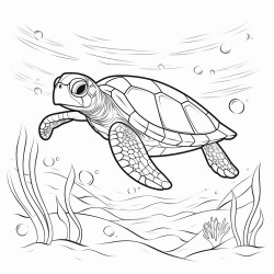 turtle under water