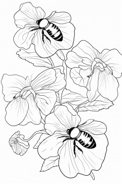 honey bees buzz among the petunia flowers