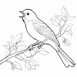 a bird on a branch singing