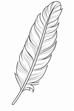 puerto rico flag in a feather