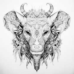 mndala animals