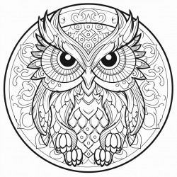 owl mandala art