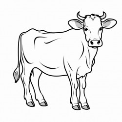 cow
