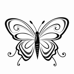colouring book for kidsbutterflies