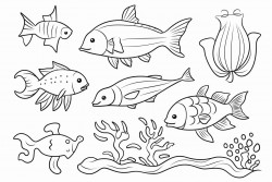 sea animals