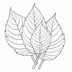 feuille