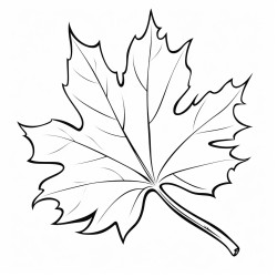 feuille
