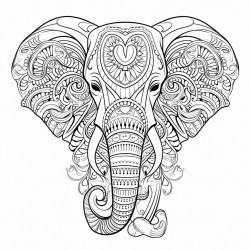 elephant