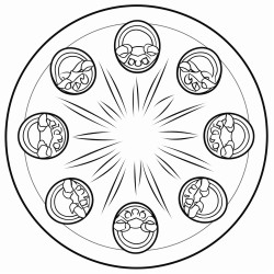12 shoes in a circle