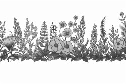 fantasy borders with plants