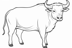 toro