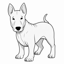 bull terrier