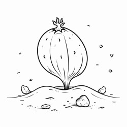 realistic watermelon seed sprout coming from the ground coloring page