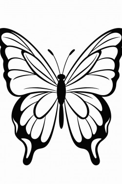 butterfly a large simple butterfly with open wings