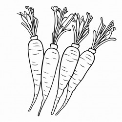 carrots