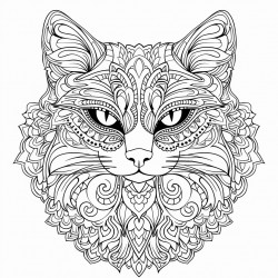 mandala de gato