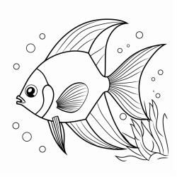 angelfish that swim with fins so bright gliding through the ocean light
