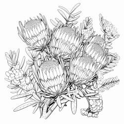 banksia flowers