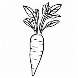 1 carrot clipart