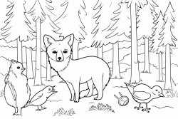 animals in a forrest