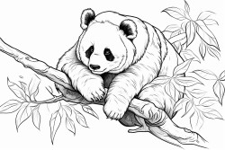panda roux sur sa branche