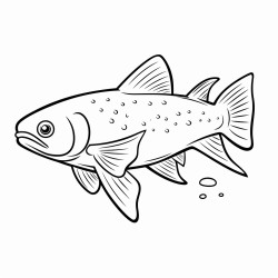 a cute and adorable icelandic arctic char