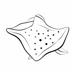 kids coloring page with sting ray black and white simple line art style minimalist drawing white background style raw