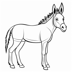 burro