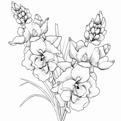 snapdragon flowers