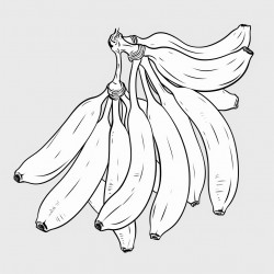 bananas
