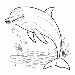 delfin para colorear