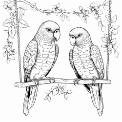 two budgies sitting on a swing