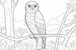 barking owl in forest