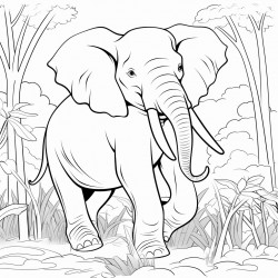elephant in the jungle