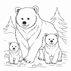 osos