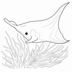 simple manta fish over seaweed 16 colors 100 curved segments bold black lines no details no grayscale no shadows coloring page