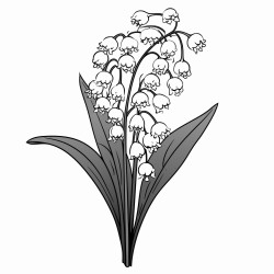 long stemmed lilly of the valley flower