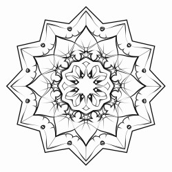 polygonal fractals  fractal patterns of polygons forming a complex mandala symmetrical