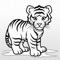 tiger