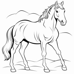 a horse