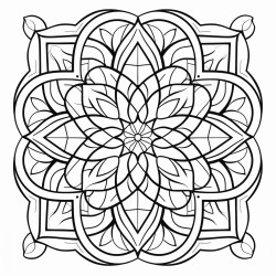 geometric symmetry  symmetrical patterns creating a balanced mandala