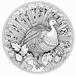mandala turkey